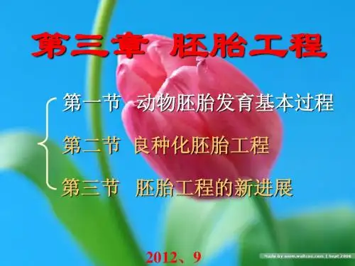 胚胎工程的新进展