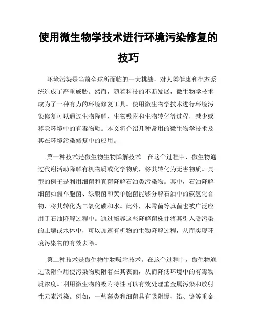 使用微生物学技术进行环境污染修复的技巧