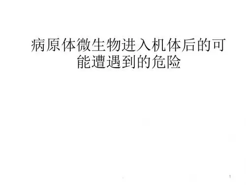 免疫应答过程PPT课件