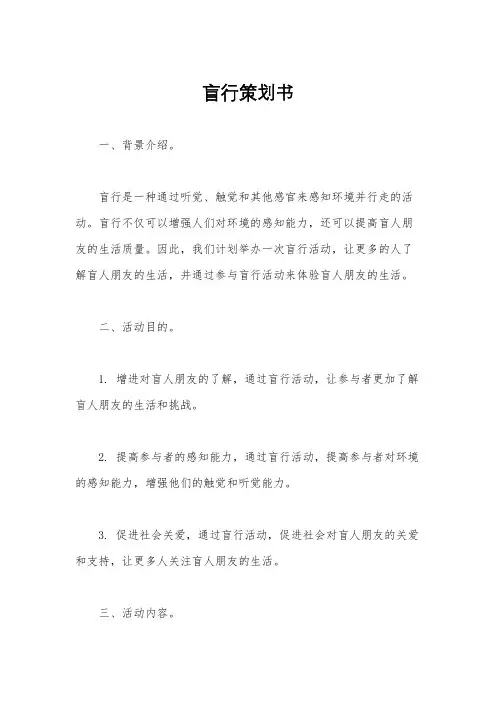 盲行策划书
