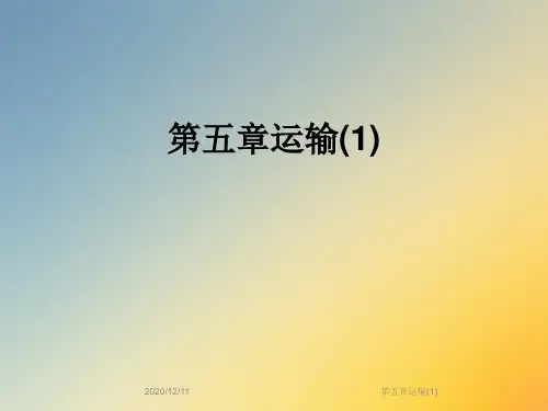 第五章运输(1)