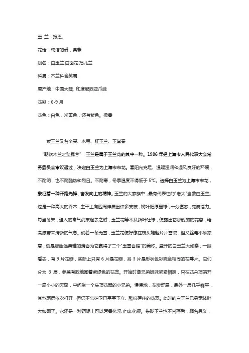 玉 兰的介绍