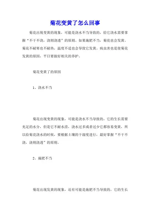菊花变黄了怎么回事