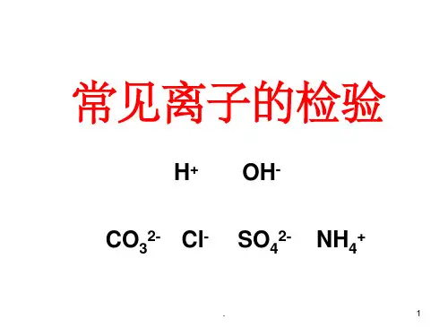 人教版初中化学常见离子的检验ppt课件