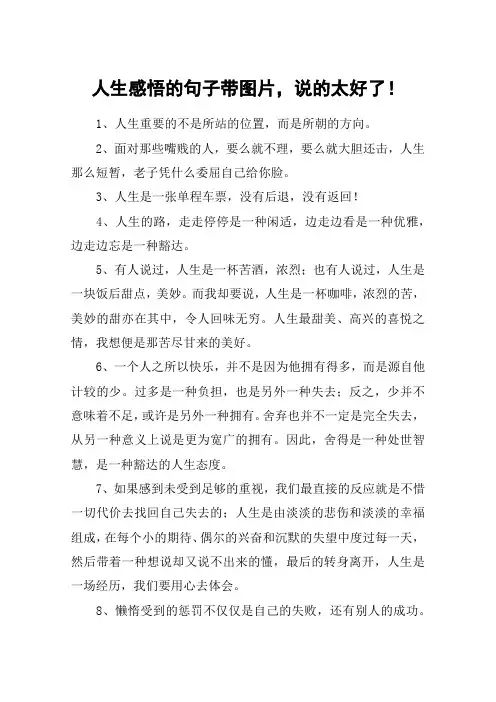 人生感悟的句子带图片,说的太好了!