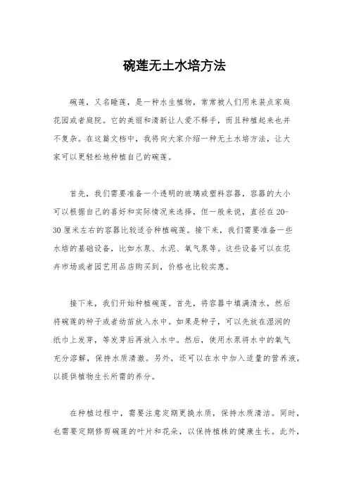 碗莲无土水培方法