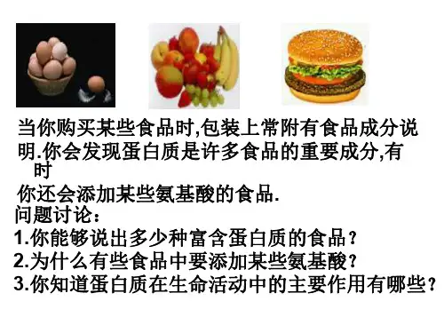 高一生物蛋白质1-P