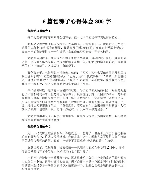 6篇包粽子心得体会300字