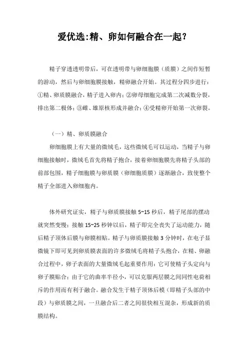 爱优选：精、卵如何融合在一起