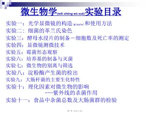 微生物学实验目录(PPT)