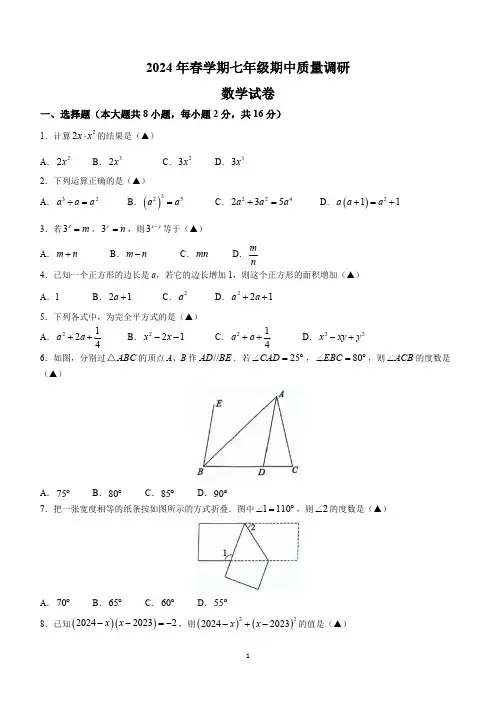 江苏省常州市金坛区2023-2024学年七年级下学期期中数学试题(含答案)