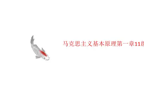 马克思主义基本原理第一章11级政史系历史学3班余敏达-PPT文档资料