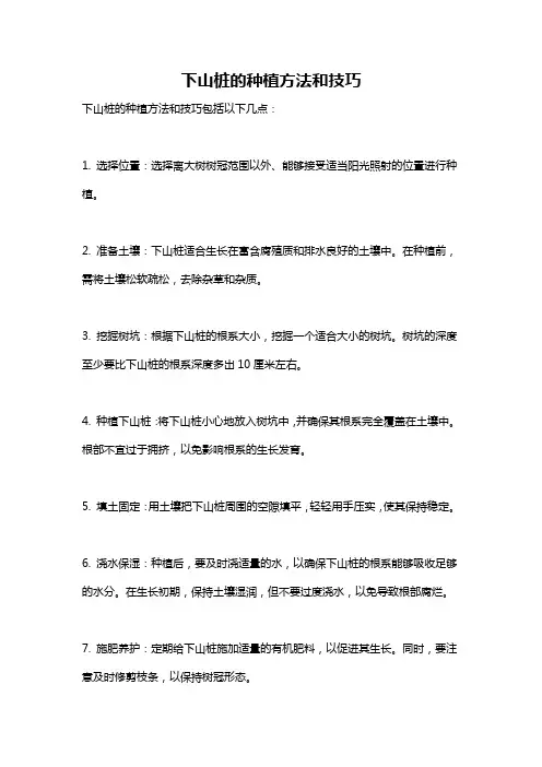 下山桩的种植方法和技巧