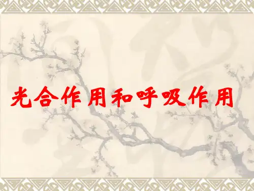 绿色植物的光合作用和呼吸作用