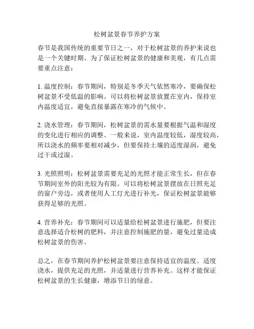 松树盆景春节养护方案