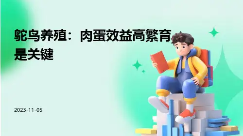 鸵鸟养殖：肉蛋效益高繁育是关键