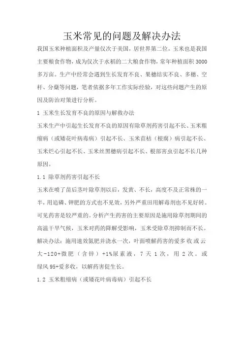 玉米常见问题与解决办法剖析