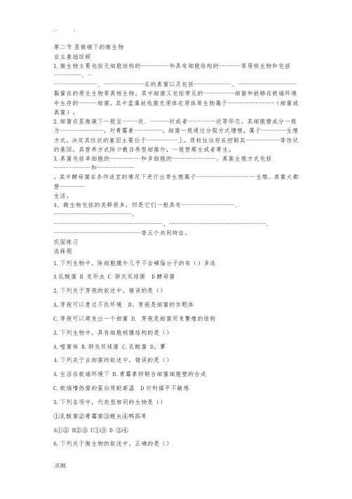 显微镜下的微生物