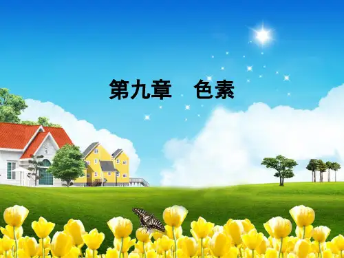 色素ppt课件