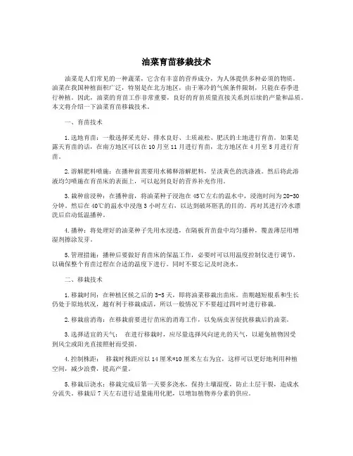 油菜育苗移栽技术