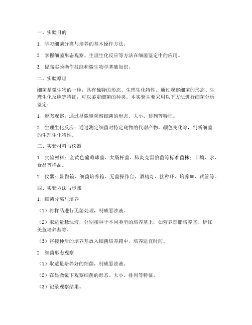细菌分析鉴定实验报告
