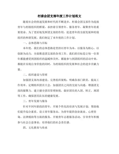 村委会团支部年度工作计划范文