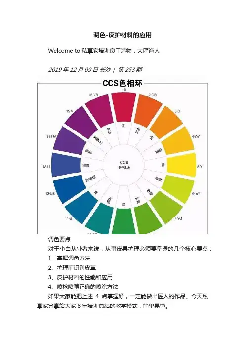 调色-皮护材料的应用