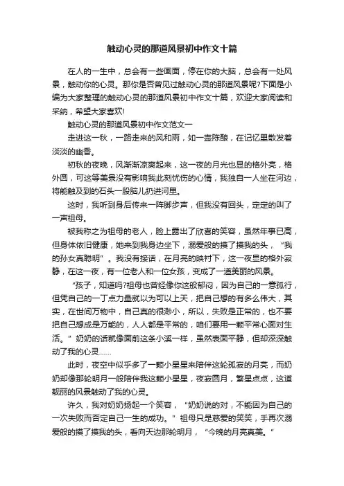 触动心灵的那道风景初中作文十篇