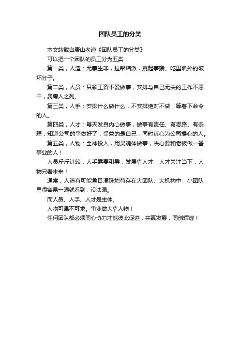 团队员工的分类