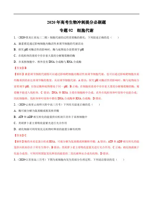高中生物高考专题02 细胞代谢(解析版)