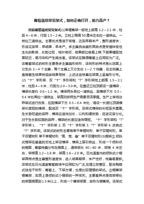 葡萄栽培常见架式，如何正确打开，助力高产？