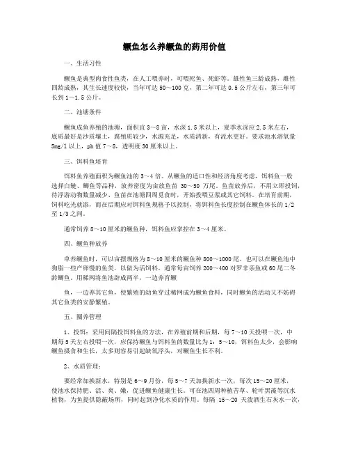 鳜鱼怎么养鳜鱼的药用价值