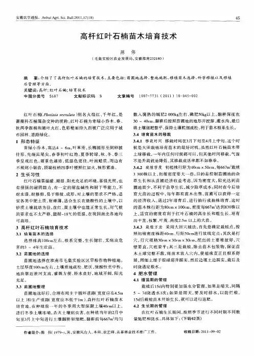 高杆红叶石楠苗木培育技术