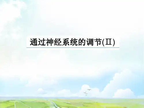 高中生物必修3精品课件7：2.1 通过神经系统的调节(Ⅱ)