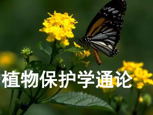 第7章棉花害虫