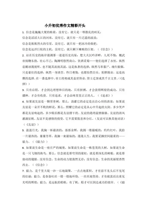 小升初优秀作文精彩开头