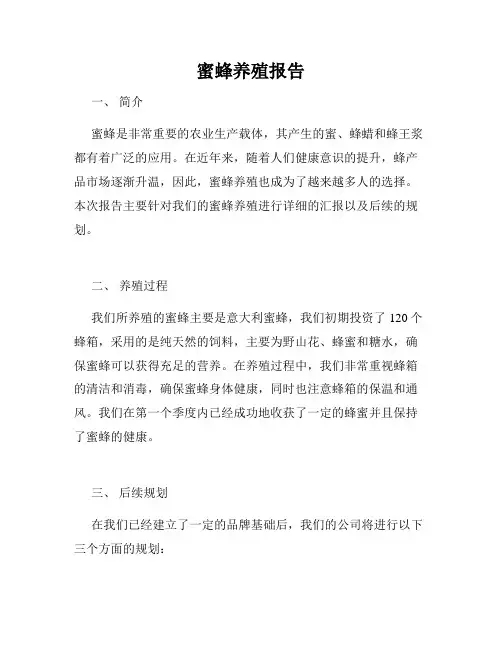 蜜蜂养殖报告