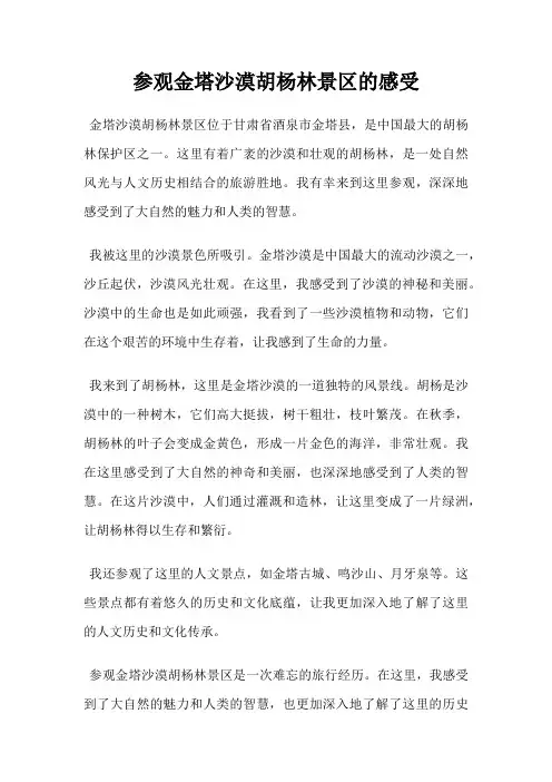 参观金塔沙漠胡杨林景区的感受