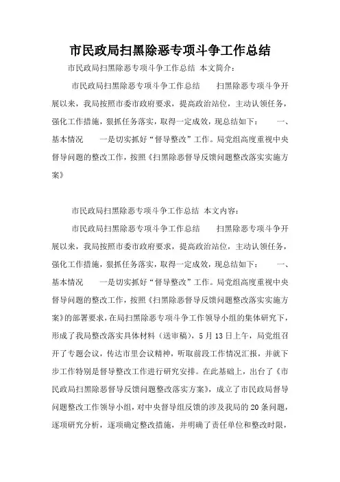 市民政局扫黑除恶专项斗争工作总结