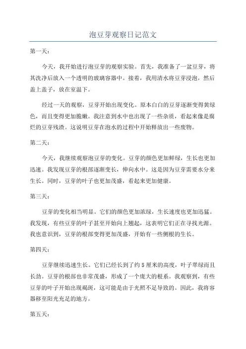 泡豆芽观察日记范文