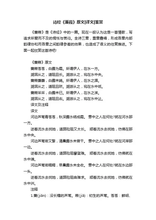 诗经《蒹葭》原文译文鉴赏