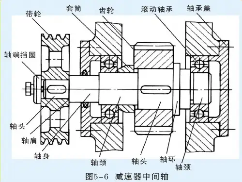 典型轴系结构教学PPT轴的结构设计