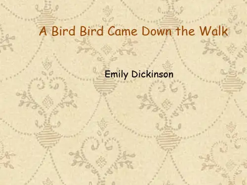 A bird came down the walk