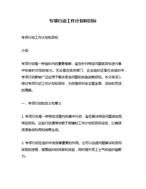 专项行动工作计划和目标