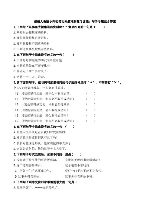 2020部编人教版小升初语文专题冲刺复习训练：句子专题三含答案
