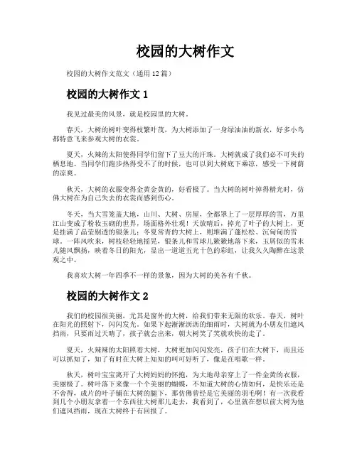 校园的大树作文
