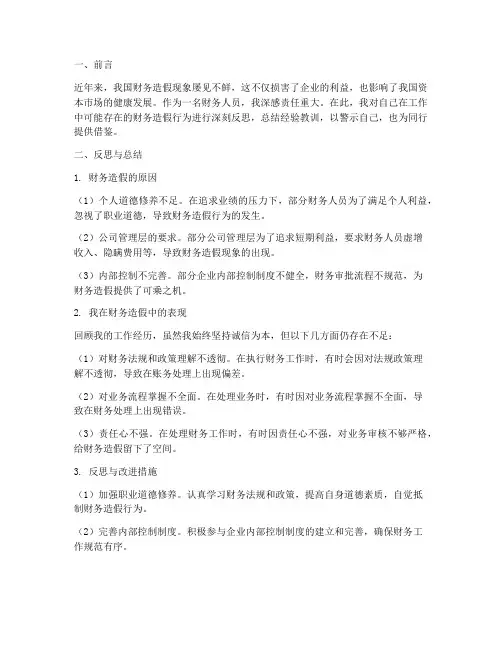 财务造假个人总结范文