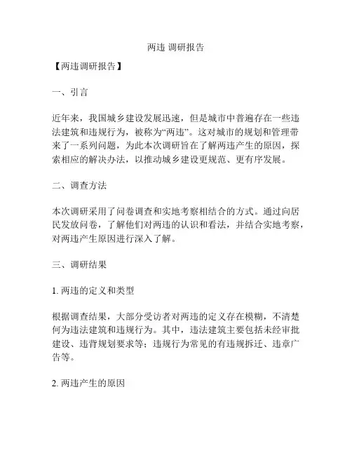 两违 调研报告