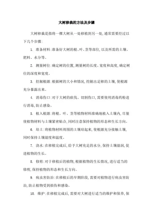 大树移栽的方法及步骤
