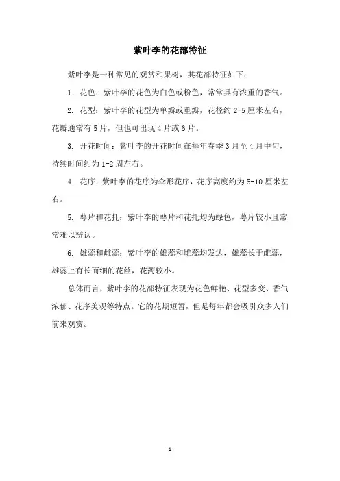 紫叶李的花部特征